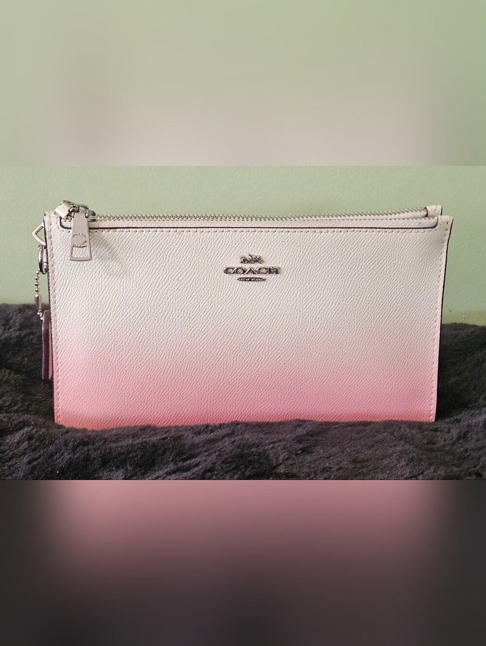 Coach 2018 Ombré Crosby Clutch
